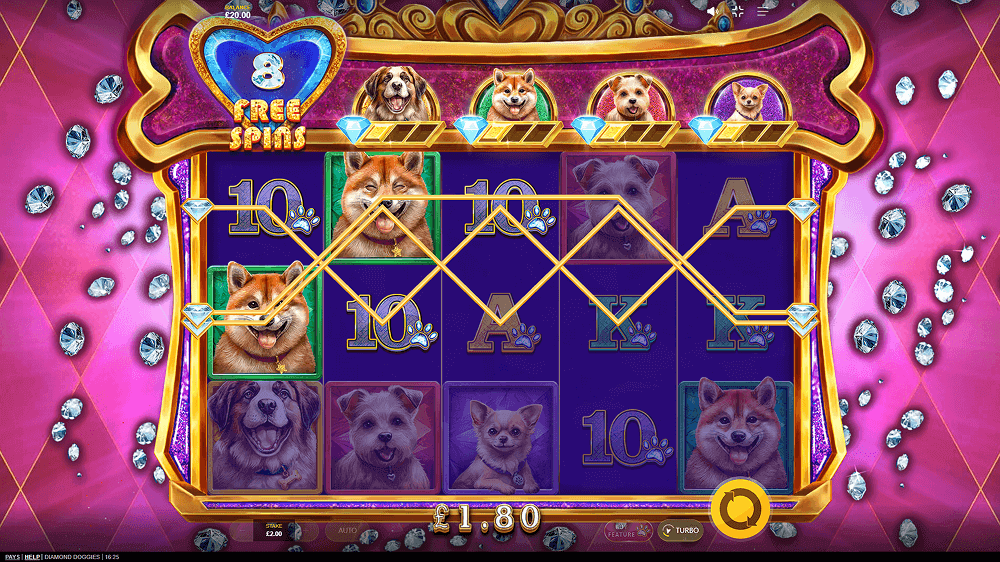 Diamond Doggies Bonuses Diamond Doggies Bonuses